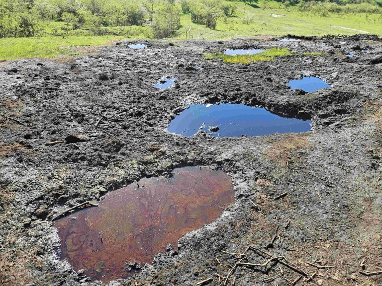 Foto: Izvoarele de Petrol de la Beciu, @Geoparcul Tinutul Buzaului