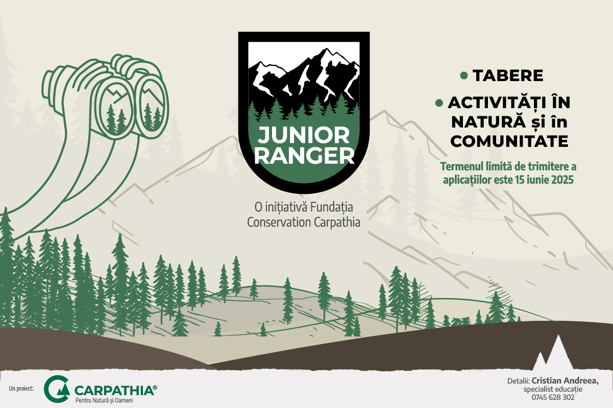 Junior Rangers 2025 Poster: Fundaţia Conservation Carpathia
