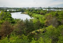 Foto: Parcul Petricani, București, ©Platforma de mediu pentru București