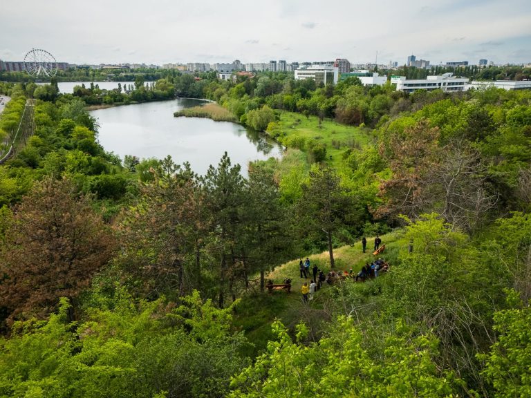 Foto: Parcul Petricani, București, ©Platforma de mediu pentru București