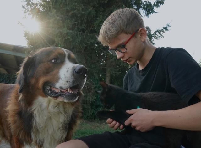 UE trage lesa industriei animalelor de companie și pune zgardă comerțului ilegal
