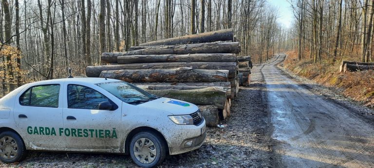 Gărzile Forestiere, decimate: aproape 40% din posturi vor fi tăiate