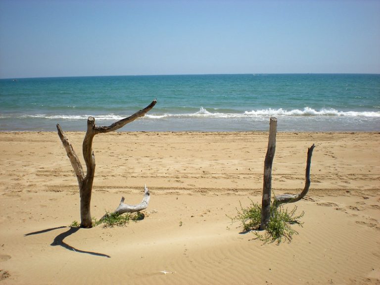 Foto: Plajă naturală, 16 mai 2009, ©chema kayser | Flikr