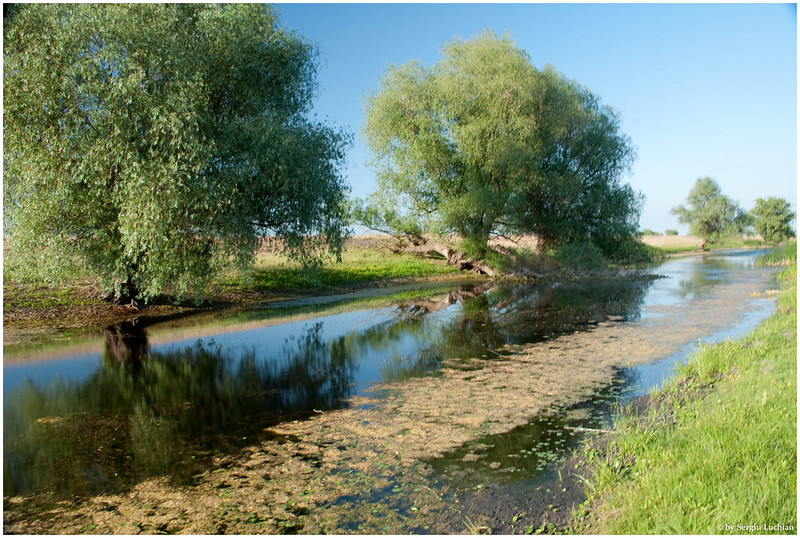 Foto: Delta Dunării, mai 2011 Sursa: Sergiu Luchian | Flickr