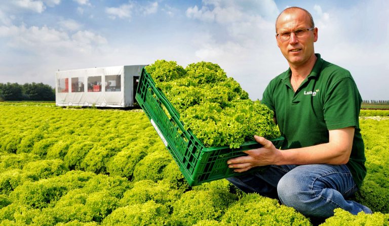 Lada reutilizabila sursa:despre.kaufland.ro