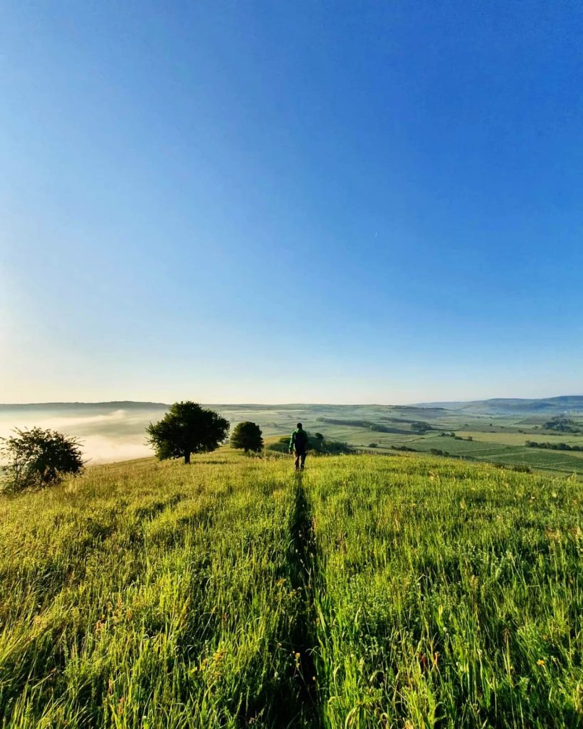 Foto: Educaţie cu vedere la natura Sursa: Asociaţia Colinele Transilvaniei