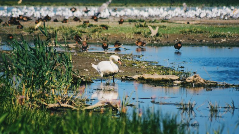Cum se face in Romania ecoturism