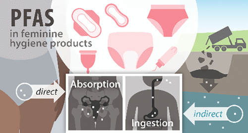 Studiu | Niveluri ridicate de PFAS în produse menstruale reutilizabile