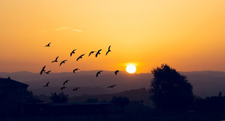 Ce poti vedea la Rosia Montana