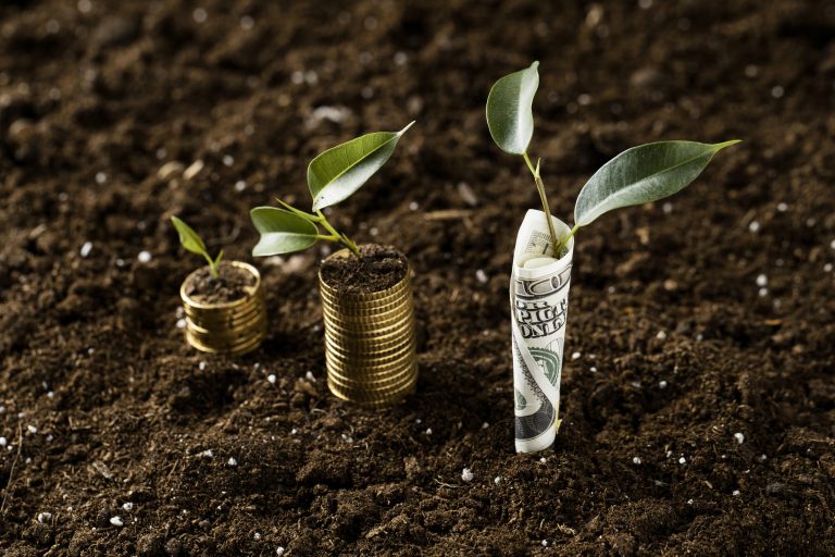 Plante, bancnote si monezi. sursa:www.freepik.com