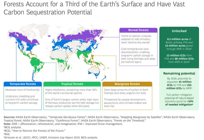 Pădurile acoperă o treime din suprafața terestră și pot furniza peste 35% din reducerea necesară a emisiilor până în 2030. Sursa: BCG, NASA, IPCC, UNEP.