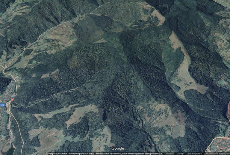 Imagine: Pădure, judeţul Neamţ Sursa: google maps