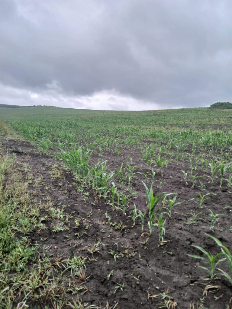 Foto: Nămoluri de epurare