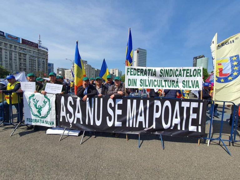 UPDATE: Silvicultorii ies în stradă împotriva reformei Romsilva. Protest la Ministerul Mediului