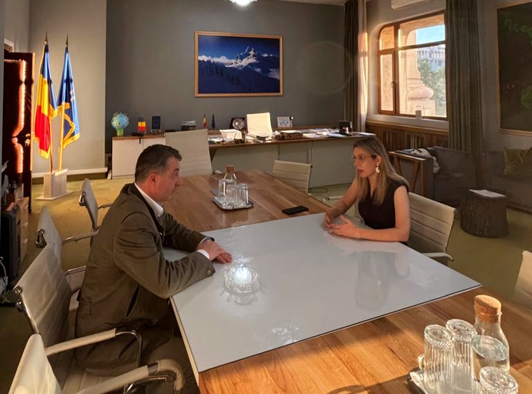 Sursa foto: Ministra mediului Diana Buzoianu