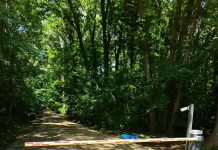 Foto: Barieră drum Pădurea Băneasa, ©Asociația Parcul Natural București