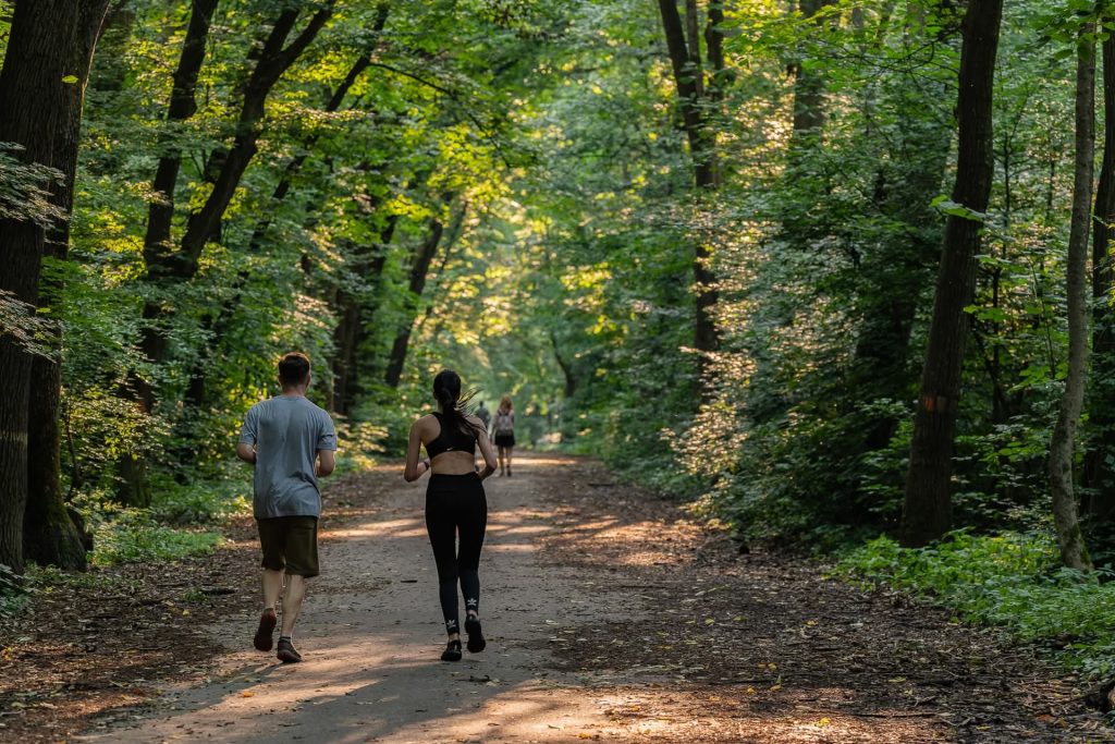 Foto: Activități în aer liber, Pădurea Băneasa, ©Asociația Parcul Natural Văcărești