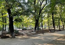 Foto: Parcul Kiseleff, ©Grupul de Initiativa Civica Kiseleff