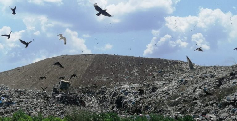Groapa de gunoi a Aradului sursa foto:specialarad.ro