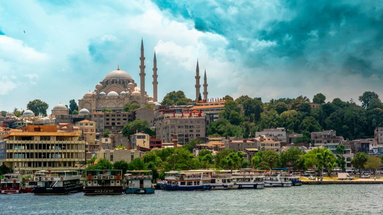 Istanbul verde, iunie 2021, Ibrahim Uzun, sursa: Unsplash.com