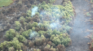 Incendiu de vegetație in Chilia Veche, județul Tulcea, data 04.08.2025. sursa foto:Biziday