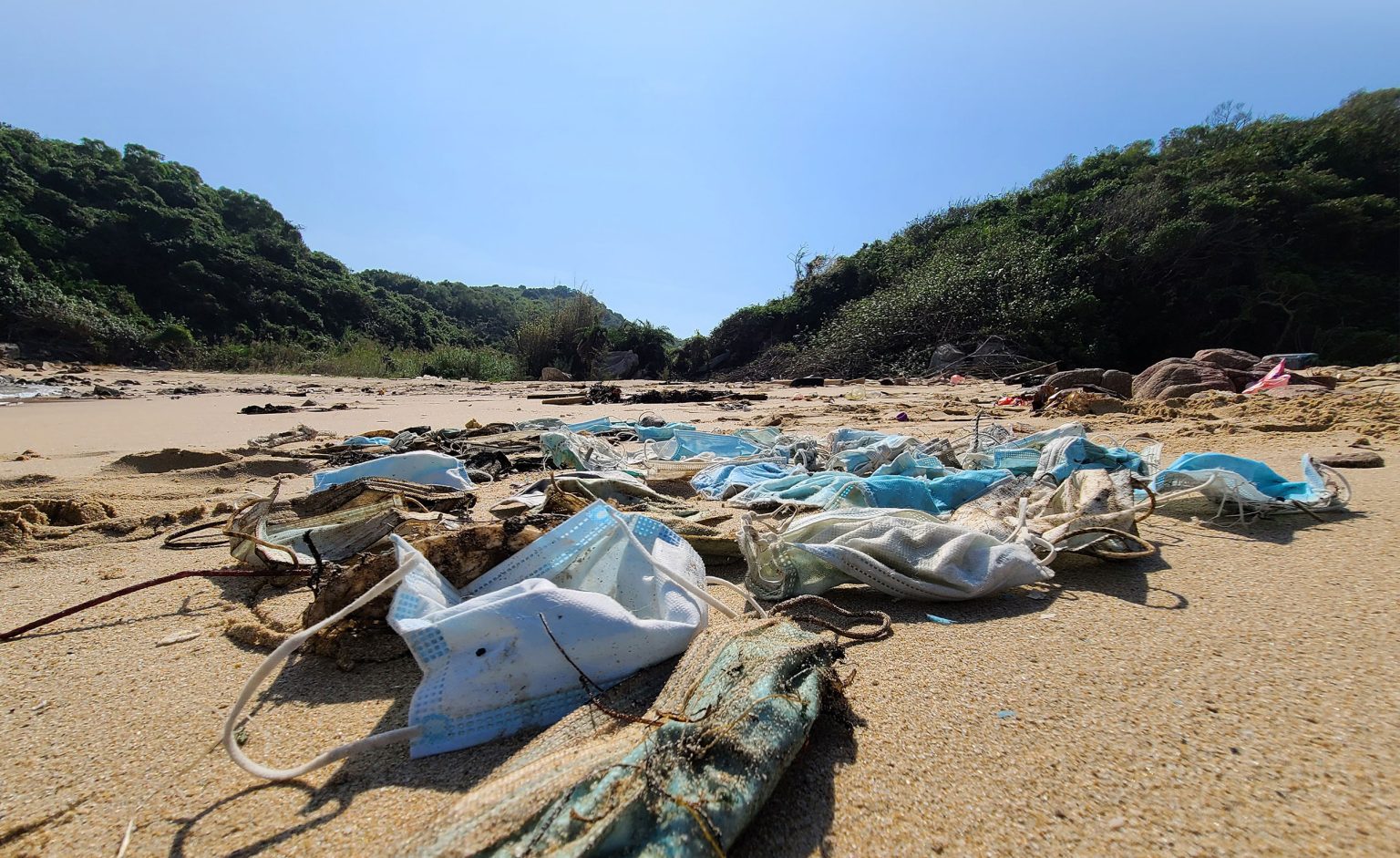 Oamenii de știință de la OceansAsia găsesc zeci de măști chirurgicale eșuate pe plajele din apropierea Hong Kongului. Sursa foto:tos.org/oceanography/Gary Stokes.