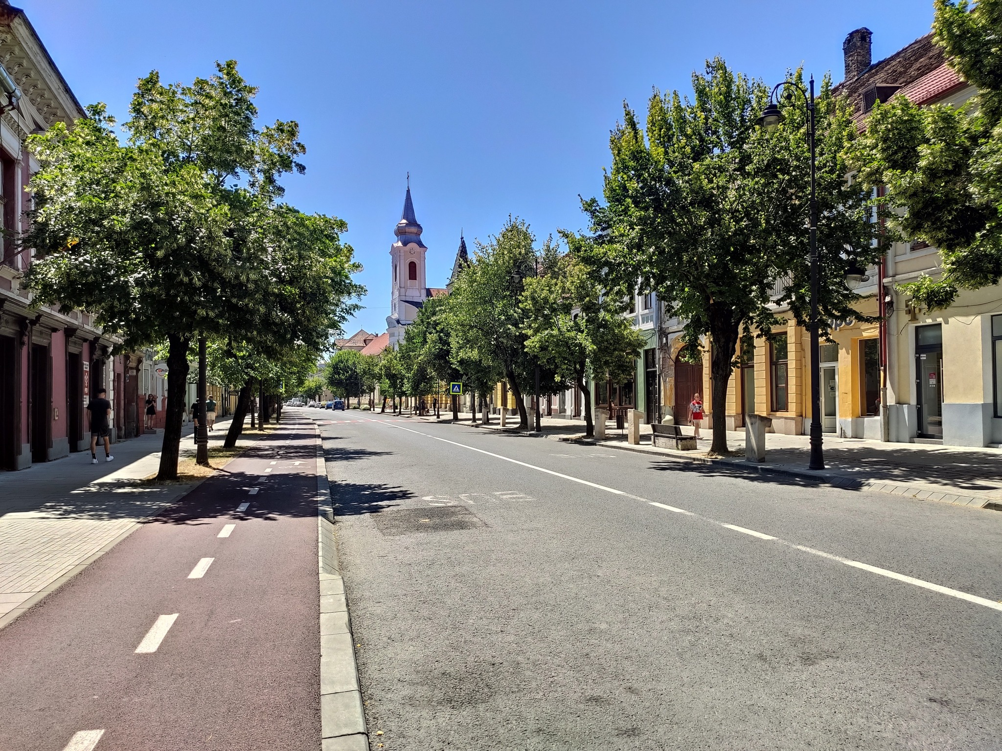 Linia Verde Bistrița