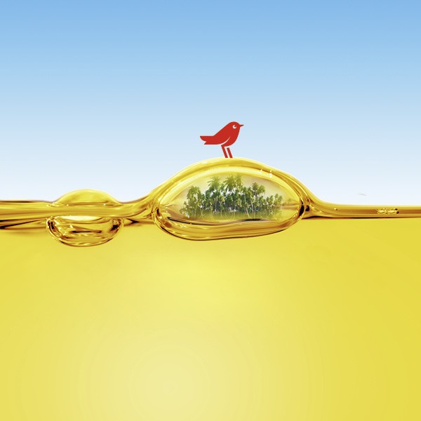 Cover campanie de colectare a uleiului uzat, ©Auchan