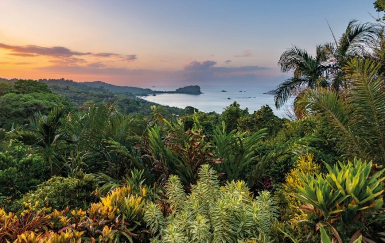 Foto: Parcul Național Manuel Antonio, Costa Rica, ©World Economic Forum