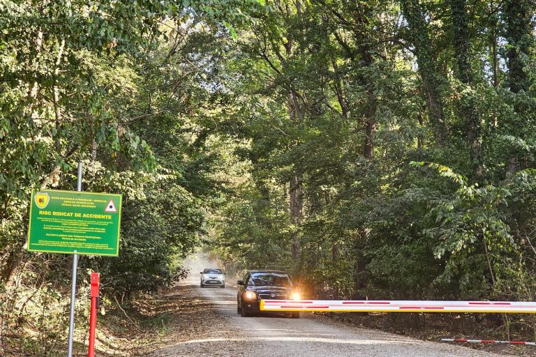 Padurea Băneasa trafic