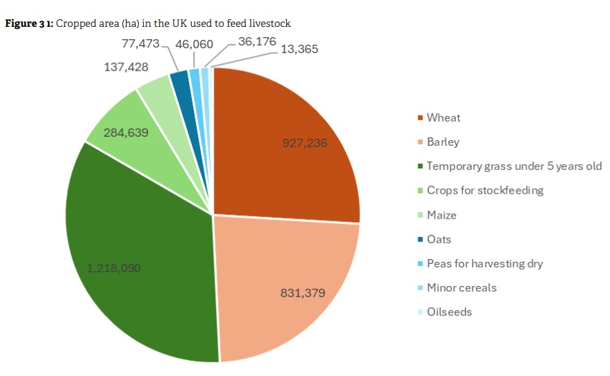 Suprafața agricolă a Regatului Unit folosită pentru hrana animalelor, pe culturi (hectare, 2024)