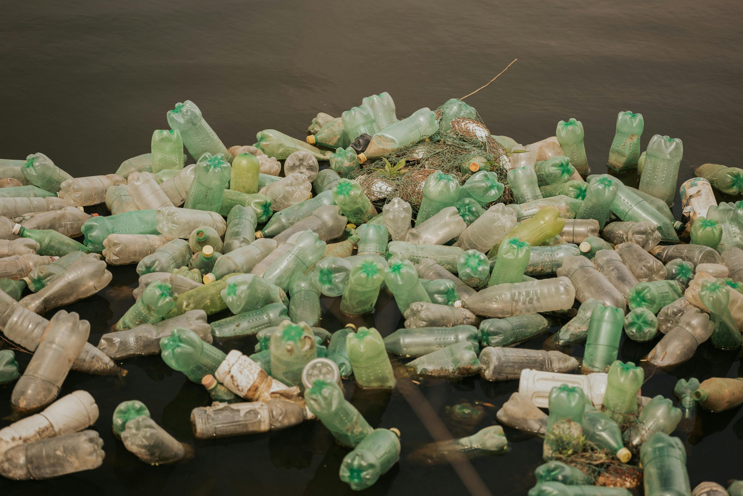 Sticle de plastic plutind în ocean. Sursa foto:Dylann Hendricks/Pexels