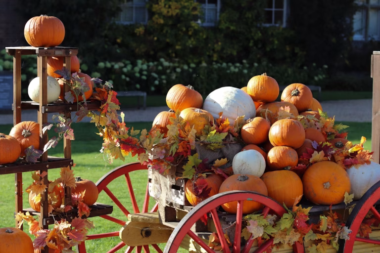 Căruță plină cu dovleci albi și portocalii, decorată cu frunze ruginii — un tablou autentic de toamnă rurală. Sursa foto:Tanya Barrow/Unsplash