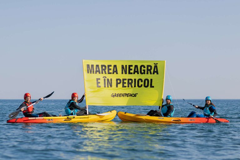 Protest Greenpeace România, sursa foto Greenpeace România