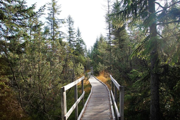 Foto: Podul care traversează trubă Božídarské, Cehia, ©ivabalk | Pixabay