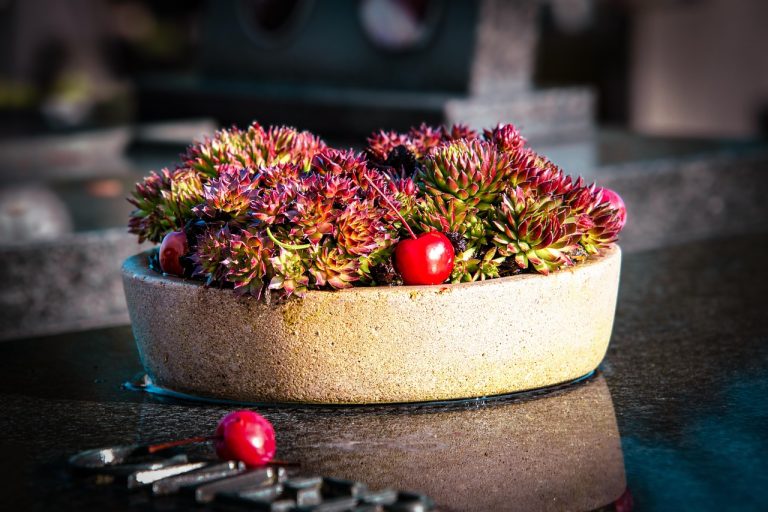 Foto: Cireșe, ©dendoktoor | Pixabay