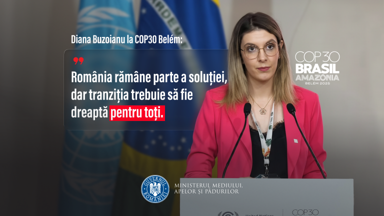 Diana Buzoianu, ministra Mediului, la COP30 Belém. Sursa foto: Ministerul Mediului