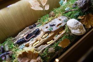 Foto: Centrul de vizitare din Parcul Natural Vânători Neamț, ©Asociația de Ecoturism din România (AER)