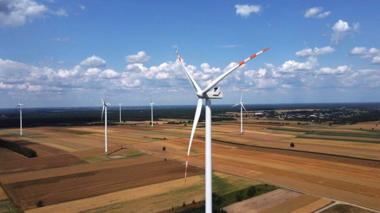 Foto: Amplasamentul de la Ialomita. Sursa: Greenvolt Grup