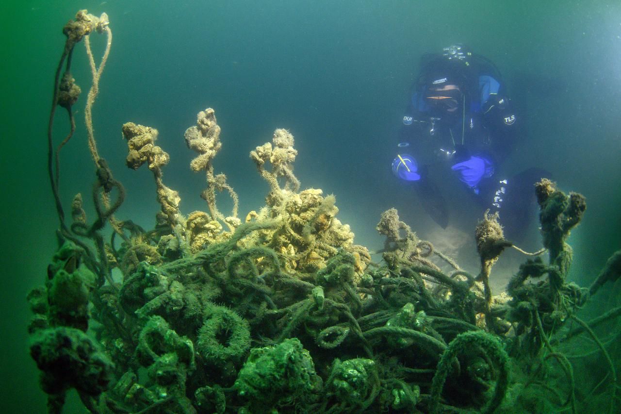 Foto: Curățarea Mării Negre de deșeuri din pescuit, 2025 | Sursa: Mare Nostrum