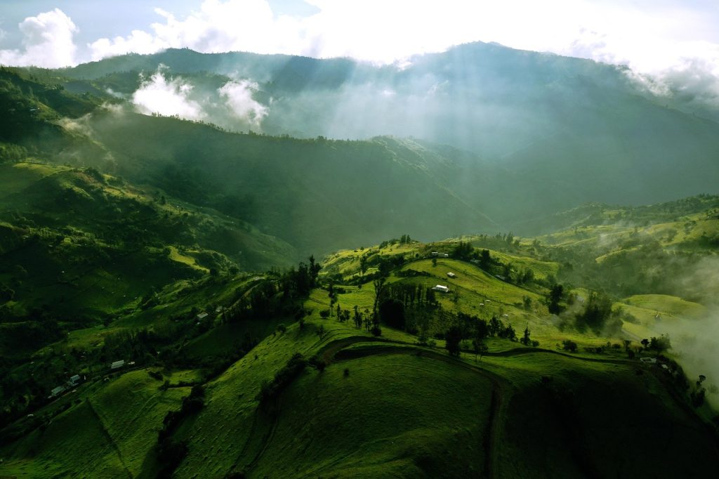 Ce inseamna planul verde european
