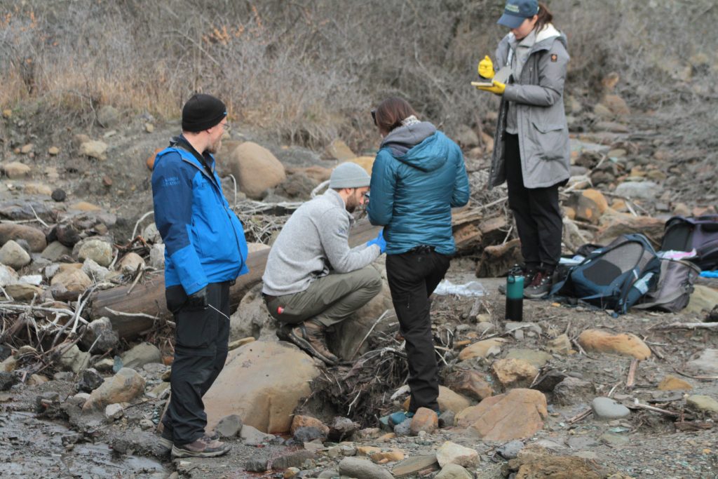 Foto: Echipa de cercetare prelevă probe din Valea Slănicului, ©Geoparcul UNESCO Ținutul Buzăului