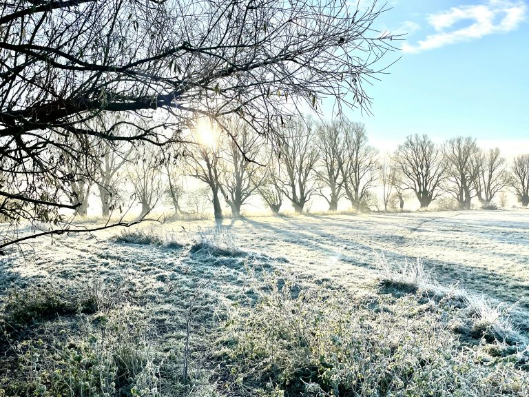 Foto: Dan Barrett | Unsplash