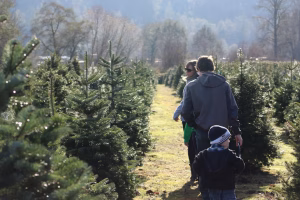 O familie colindă printr-o pepinieră de brazi, în căutarea pomului perfect pentru sărbători. Sursa foto: David J. Boozer/Unsplash