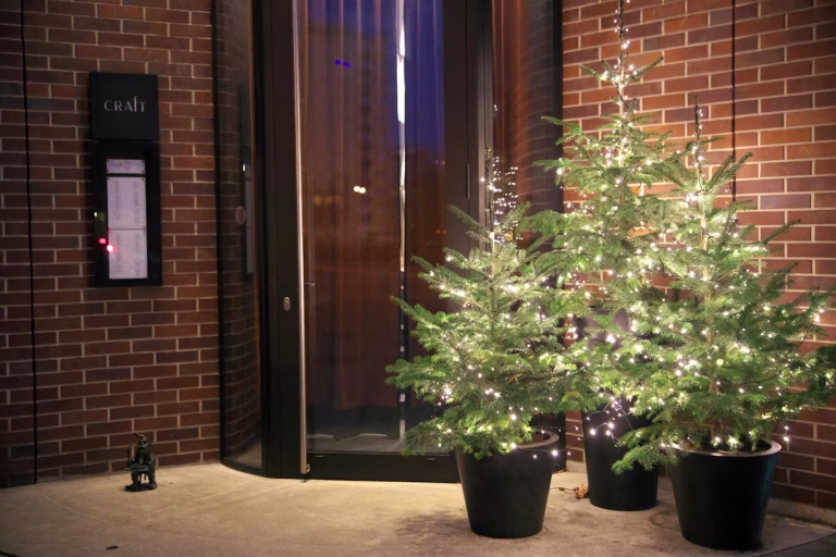 Trei brazi la ghiveci expuși în fața unei clădiri. Sursa foto:Tadeusz Zachwieja/Unsplash