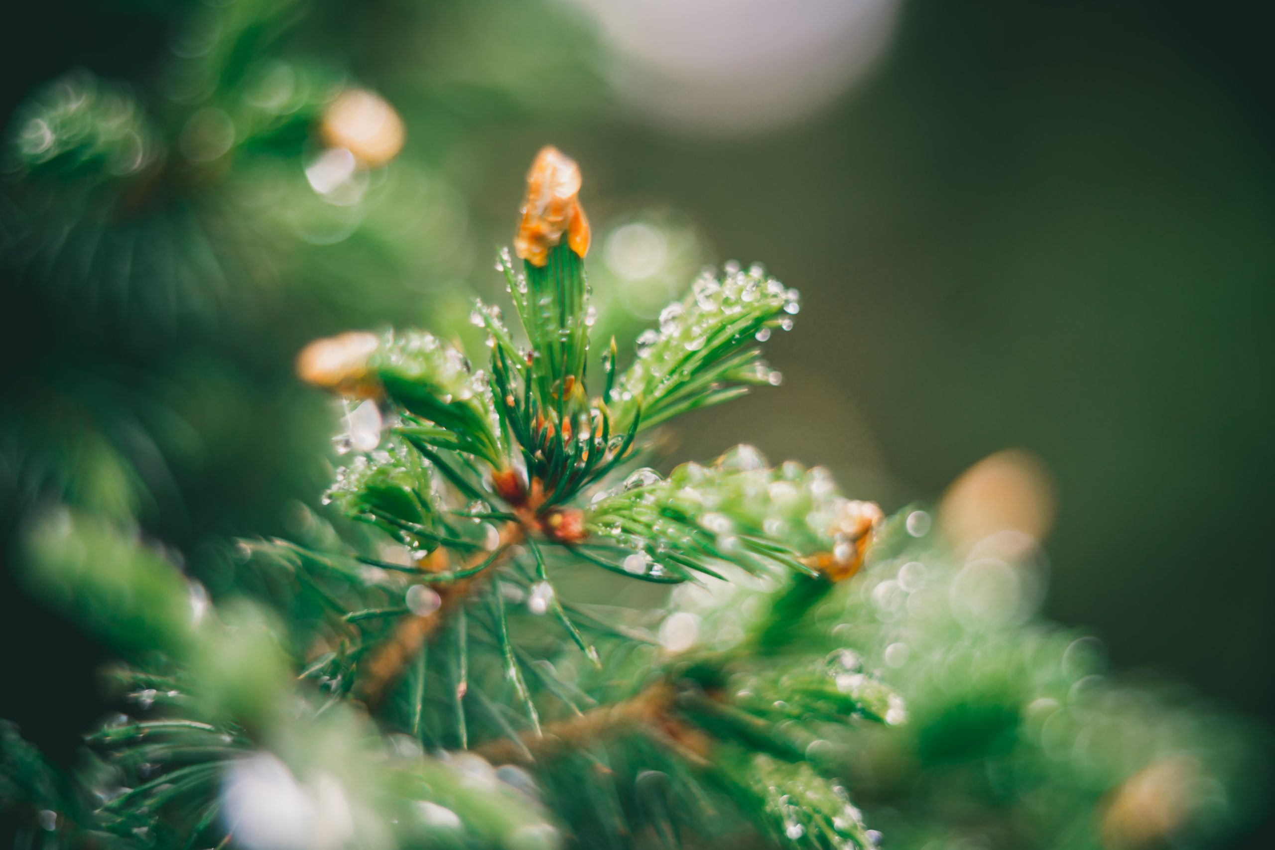 Foto: Raimond Klavins / Unsplash