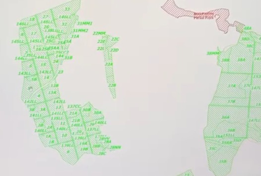 Padurea din Felix cu detalierea amenajamentului silvic